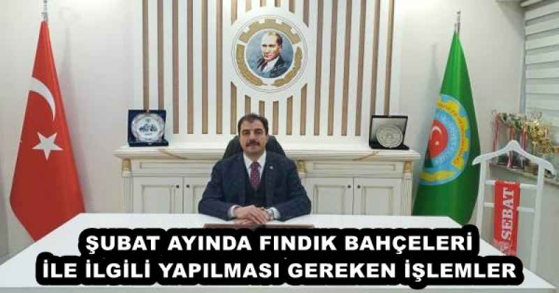 ŞUBAT AYINDA FINDIK BAHÇELERİ İLE İLGİLİ YAPILMASI GEREKEN İŞLEMLER