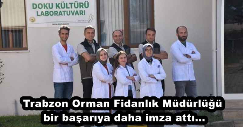 Trabzon Orman Fidanlık Müdürlüğü bir başarıya daha imza attı...