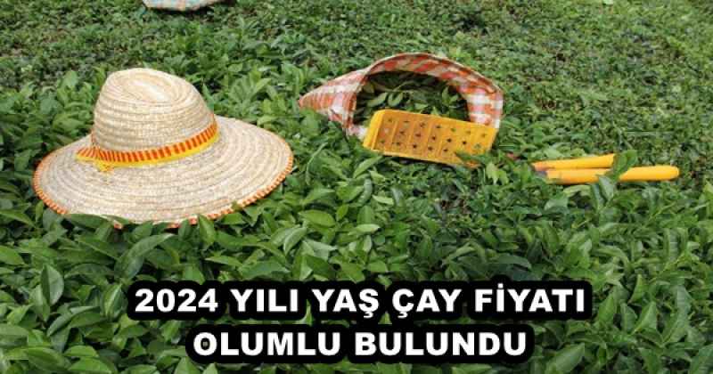 2024 YILI YAŞ ÇAY FİYATI OLUMLU BULUNDU