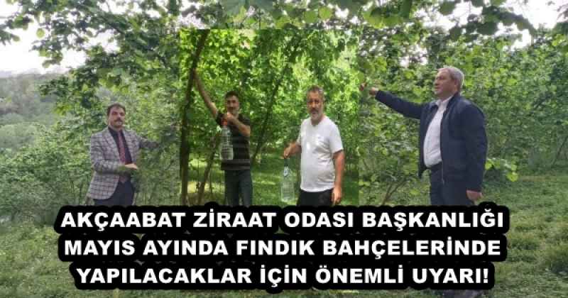 AKÇAABAT ZİRAAT ODASI BAŞKANLIĞI MAYIS AYINDA FINDIK BAHÇELERİNDE YAPILACAKLAR İÇİN ÖNEMLİ UYARI!