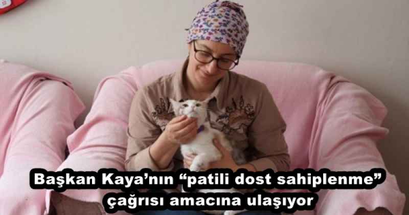 Başkan Kaya’nın “patili dost sahiplenme” çağrısı amacına ulaşıyor