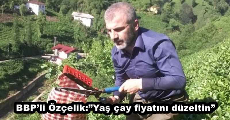 BBP’li Özçelik:”Yaş çay fiyatını düzeltin”