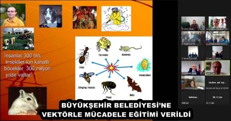 BÜYÜKŞEHİR BELEDİYESİ’NE VEKTÖRLE MÜCADELE EĞİTİMİ VERİLDİ