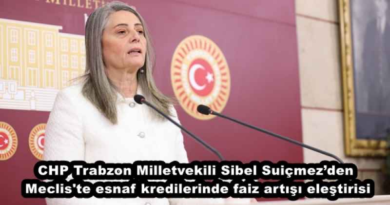 CHP Trabzon Milletvekili Sibel Suiçmez’den Meclis'te esnaf kredilerinde faiz artışı eleştirisi