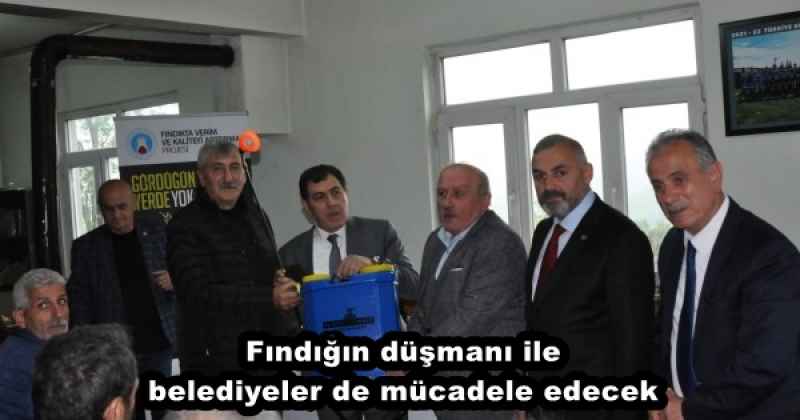 Fındığın düşmanı ile belediyeler de mücadele edecek