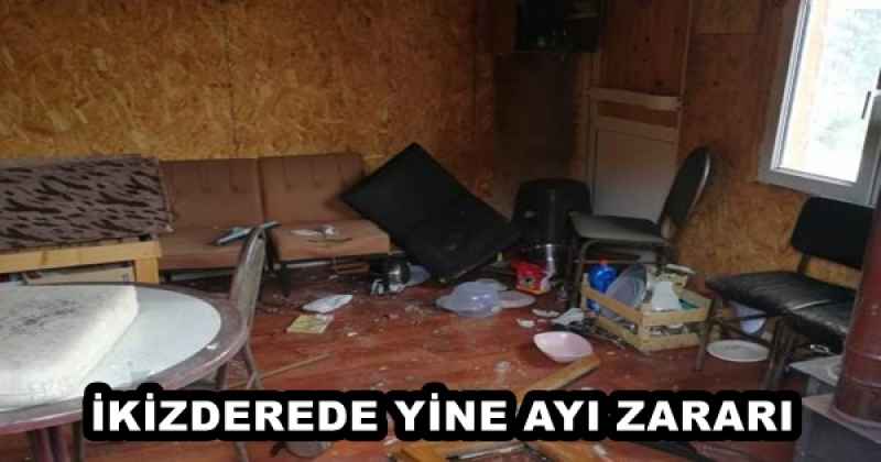 İKİZDEREDE YİNE AYI ZARARI