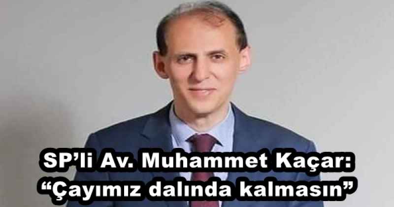 SP’li Av. Muhammet Kaçar: “Çayımız dalında kalmasın”