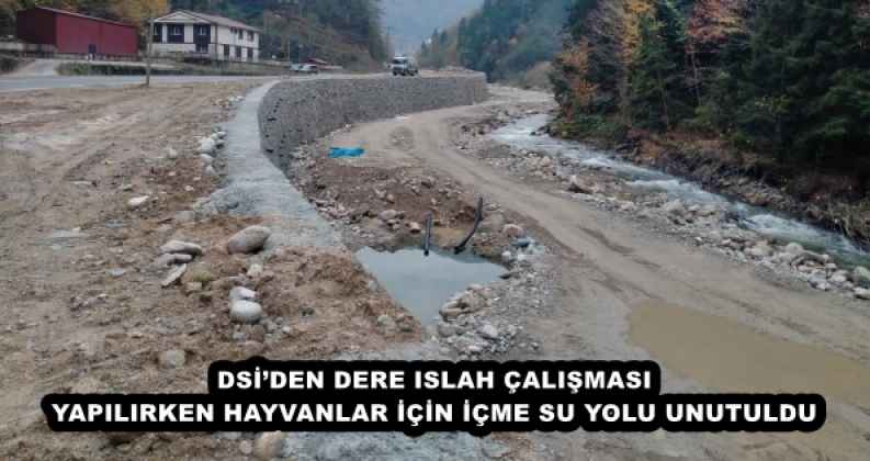 DSİ’DEN DERE ISLAH ÇALIŞMASI YAPILIRKEN HAYVANLAR İÇİN İÇME SU YOLU UNUTULDU