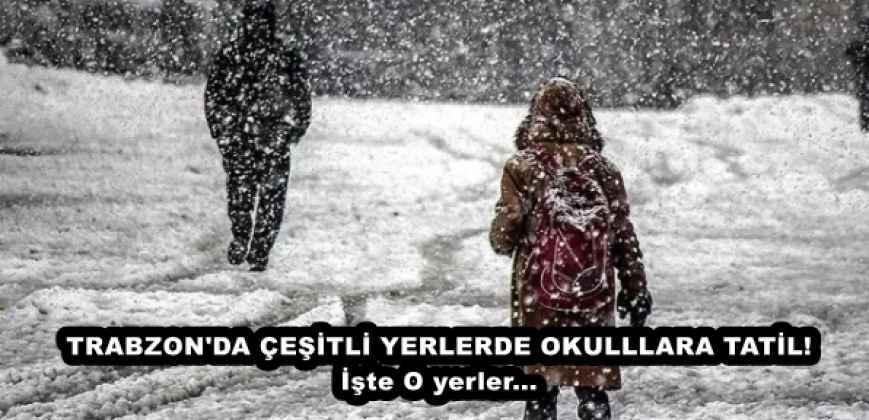 TRABZON'DA ÇEŞİTLİ YERLERDE OKULLLARA TATİL! İşte O yerler...