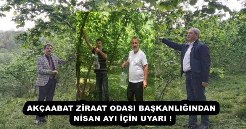 AKÇAABAT ZİRAAT ODASI BAŞKANLIĞINDAN NİSAN AYI İÇİN UYARI !