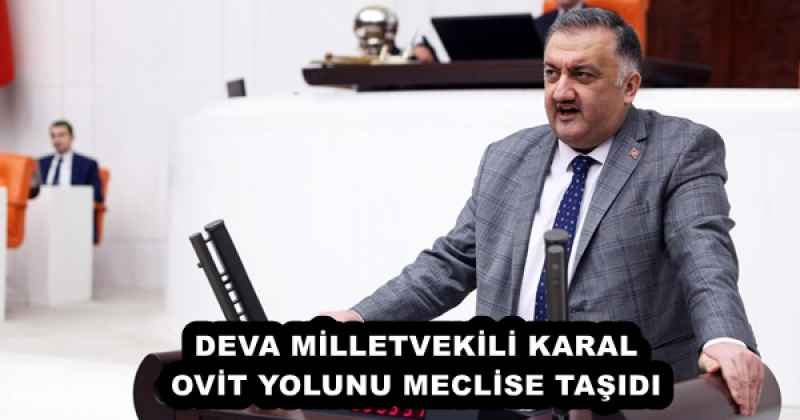 DEVA MİLLETVEKİLİ OVİT YOLUNU MECLİSE TAŞIDI