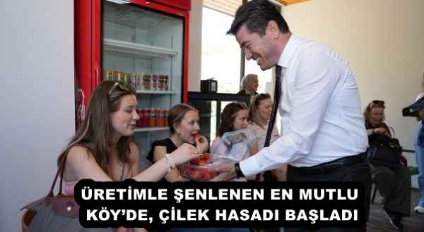 ÜRETİMLE ŞENLENEN EN MUTLU KÖY’DE, ÇİLEK HASADI BAŞLADI