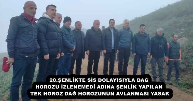 20.ŞENLİKTE SİS DOLAYISIYLA DAĞ HOROZU İZLENEMEDİ  ADINA ŞENLİK YAPILAN TEKHOROZ DAĞ HOROZUNUN AVLANMASI YASAK