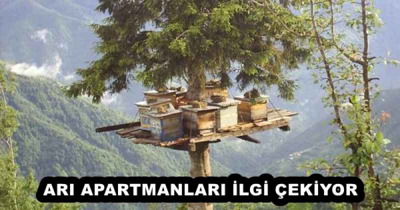 ARI APARTMANLARI İLGİ ÇEKİYOR