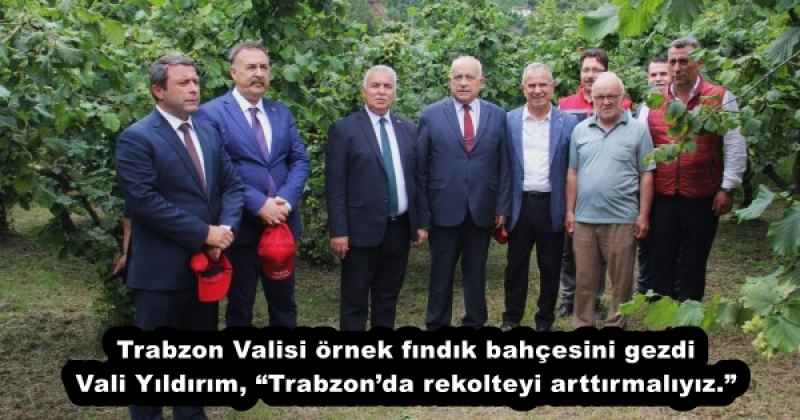 Trabzon Valisi örnek fındık bahçesini gezdi Vali Yıldırım, “Trabzon’da rekolteyi arttırmalıyız.”