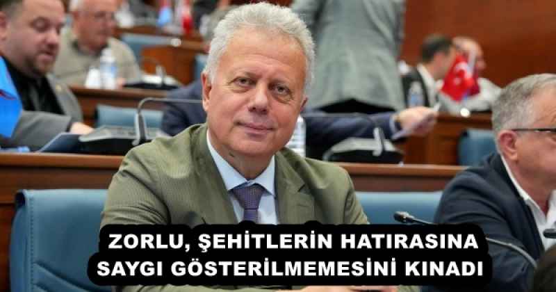 ZORLU, ŞEHİTLERİN HATIRASINA SAYGI GÖSTERİLMEMESİNİ KINADI 