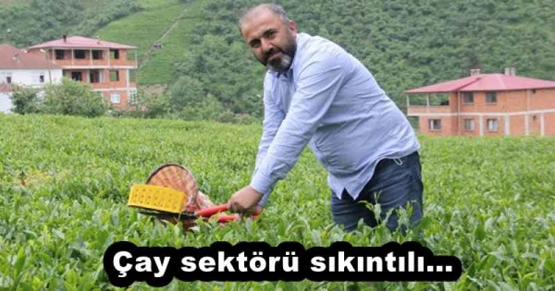 Çay sektörü sıkıntılı…