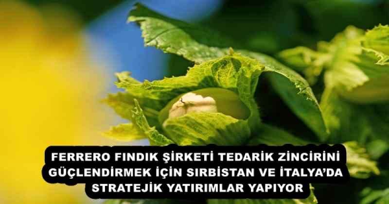 FERRERO FINDIK ŞİRKETİ TEDARİK ZİNCİRİNİ GÜÇLENDİRMEK İÇİN SIRBİSTAN VE İTALYA’DA STRATEJİK YATIRIMLAR YAPIYOR