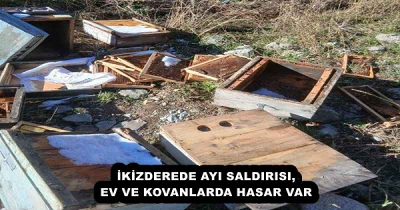 İKİZDEREDE AYI SALDIRISI, EV VE KOVANLARDA HASAR VAR