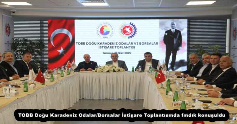 TOBB Doğu Karadeniz Odalar/Borsalar İstişare Toplantısında fındık konuşuldu