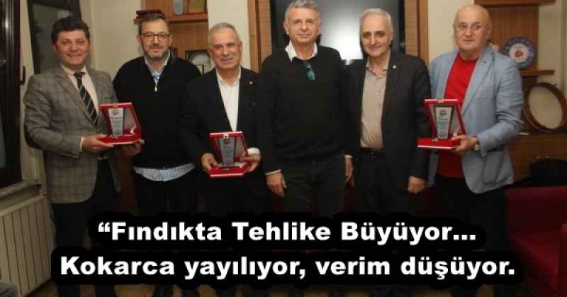 “Fındıkta Tehlike Büyüyor…Kokarca yayılıyor, verim düşüyor.