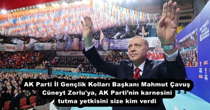 AK Parti İl Gençlik Kolları Başkanı Mahmut Çavuş  Cüneyt Zorlu'ya, AK Parti’nin karnesini tutma yetkisini size kim verdi