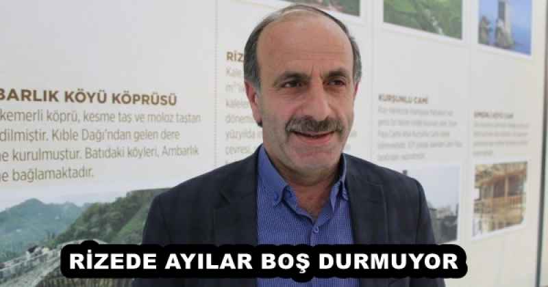 RİZEDE AYILAR BOŞ DURMUYOR