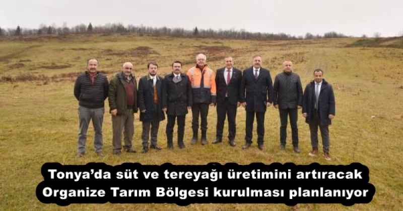 Tonya’da süt ve tereyağı üretimini artıracak Organize Tarım Bölgesi kurulması planlanıyor