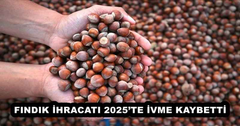 FINDIK İHRACATI 2025’TE İVME KAYBETTİ
