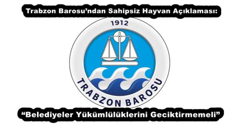 Trabzon Barosu’ndan Sahipsiz Hayvan Açıklaması: “Belediyeler Yükümlülüklerini Geciktirmemeli”