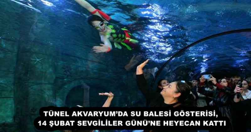TÜNEL AKVARYUM’DA SU BALESİ GÖSTERİSİ, 14 ŞUBAT SEVGİLİLER GÜNÜ’NE HEYECAN KATTI