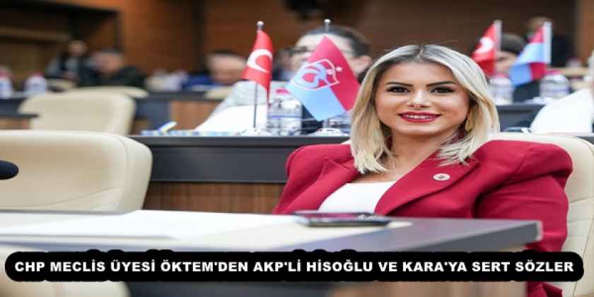 CHP MECLİS ÜYESİ ÖKTEM'DEN AKP'Lİ HİSOĞLU VE KARA'YA SERT SÖZLER