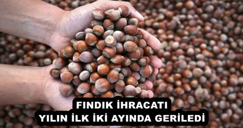 FINDIK İHRACATI YILIN İLK İKİ AYINDA GERİLEDİ