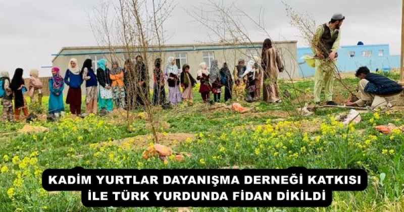 KADİM YURTLAR DAYANIŞMA DERNEĞİ KATKISI İLE TÜRK YURDUNDA FİDAN DİKİLDİ