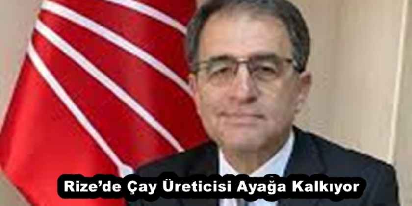 Rize’de Çay Üreticisi Ayağa Kalkıyor