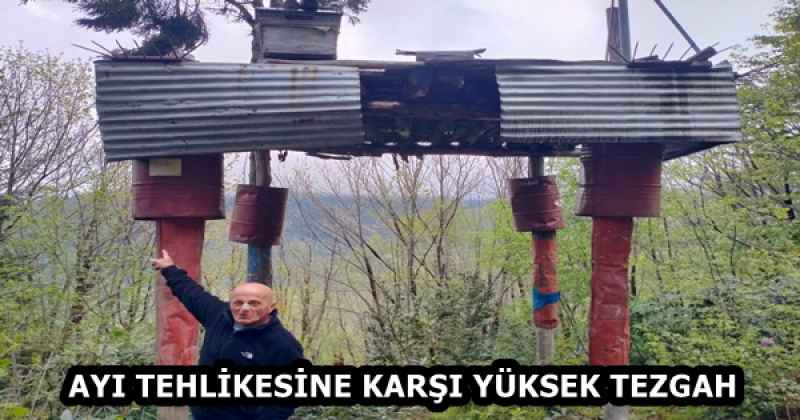 AYI TEHLİKESİNE KARŞI YÜKSEK TEZGAH