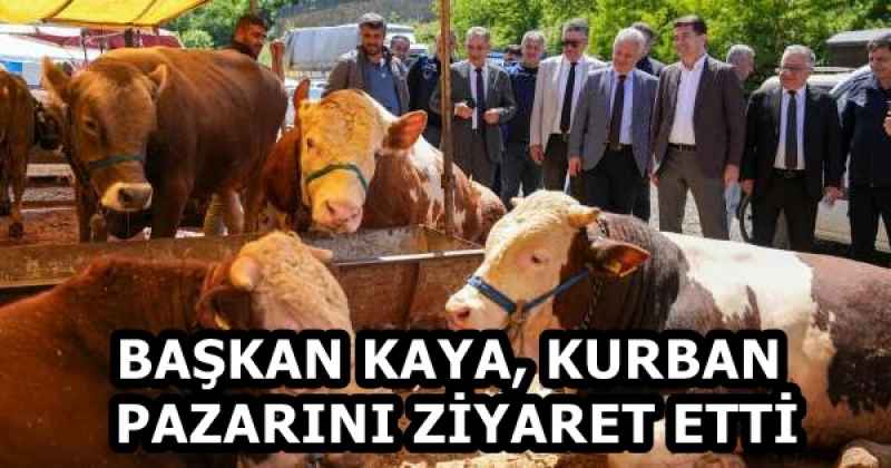 BAŞKAN KAYA, KURBAN PAZARINI ZİYARET ETTİ
