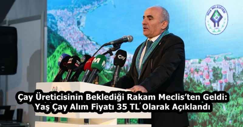 Çay Üreticisinin Beklediği Rakam Meclis’ten Geldi: Yaş Çay Alım Fiyatı 35 TL Olarak Açıklandı