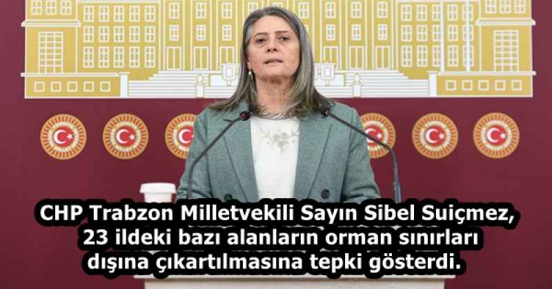 CHP Trabzon Milletvekili Sayın Sibel Suiçmez,  23 ildeki bazı alanların orman sınırları dışına çıkartılmasına tepki gösterdi. 