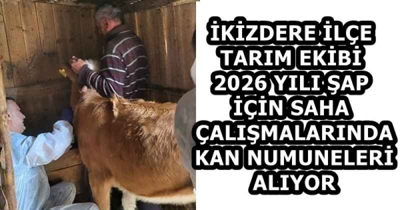 İKİZDERE İLÇE TARIM EKİBİ 2026 YILI ŞAP İÇİN SAHA ÇALIŞMALARINDA KAN NUMUNELERİ ALIYOR