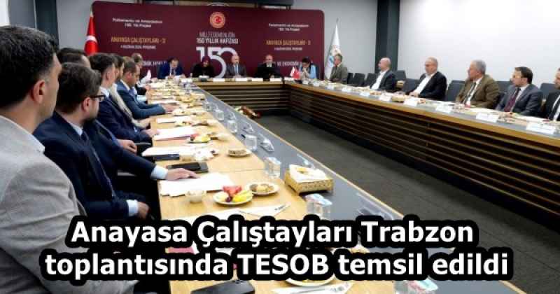Anayasa Çalıştayları Trabzon toplantısında TESOB temsil edildi