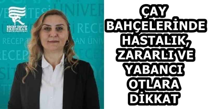ÇAY BAHÇELERİNDE HASTALIK, ZARARLI VE YABANCI OTLARA DİKKAT