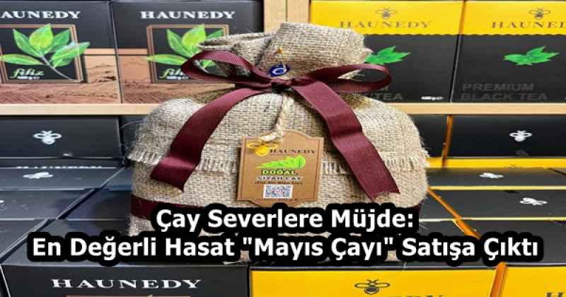 Çay Severlere Müjde: En Değerli Hasat "Mayıs Çayı" Satışa Çıktı