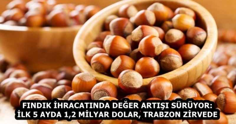FINDIK İHRACATINDA DEĞER ARTIŞI SÜRÜYOR: İLK 5 AYDA 1,2 MİLYAR DOLAR, TRABZON ZİRVEDE