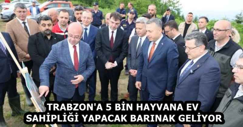TRABZON'A 5 BİN HAYVANA EV SAHİPLİĞİ YAPACAK BARINAK GELİYOR