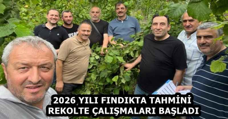 2026 YILI FINDIKTA TAHMİNİ REKOLTE ÇALIŞMALARI BAŞLADI