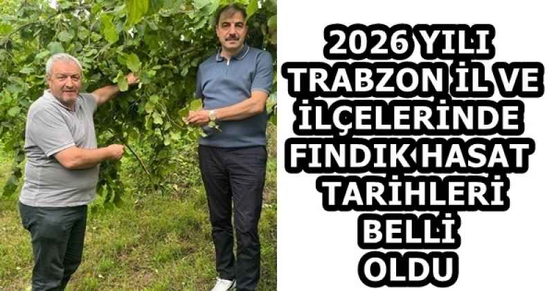 2026 YILI TRABZON İL VE İLÇELERİNDE FINDIK HASAT TARİHLERİ BELLİ OLDU