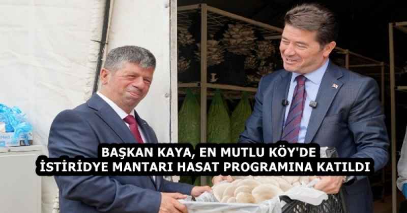 BAŞKAN KAYA, EN MUTLU KÖY'DE İSTİRİDYE MANTARI HASAT PROGRAMINA KATILDI  