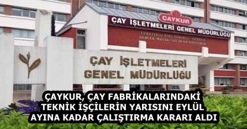 ÇAYKUR, ÇAY FABRİKALARINDAKİ TEKNİK İŞÇİLERİN YARISINI EYLÜL AYINA KADAR ÇALIŞTIRMA KARARI ALDI
