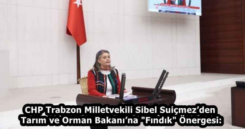 CHP Trabzon Milletvekili Sibel Suiçmez’den Tarım ve Orman Bakanı’na "Fındık" Önergesi: 